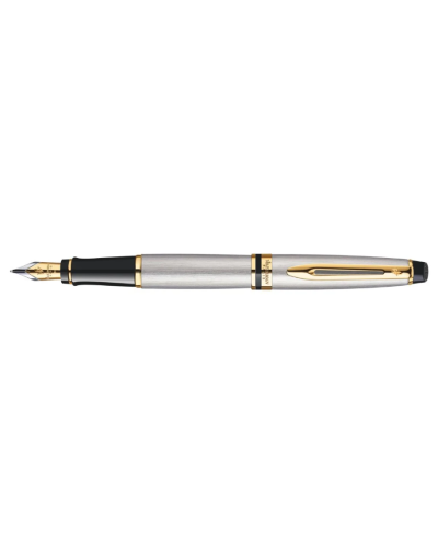 Waterman Expert Stainless Steel Gold Trim Fountain Pen