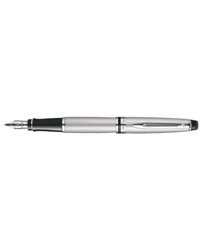 Waterman Expert Stainless Steel Chrome Trim Fountain Pen